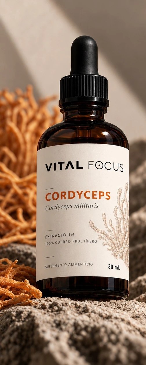 Frasco gotero Vital Focus Cordyceps sobre piedras con Cordyceps militaris