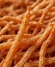 Cordyceps militaris en su forma natural